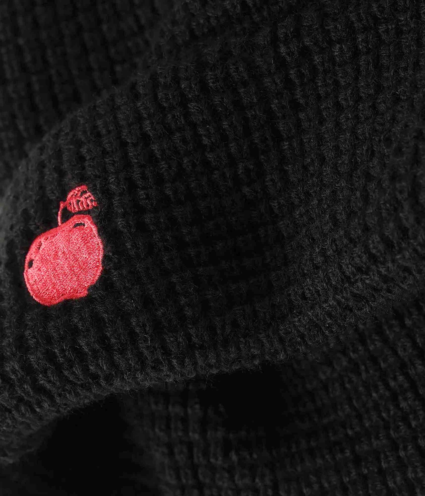 FH BIG APPLE BEANIE // BLACK